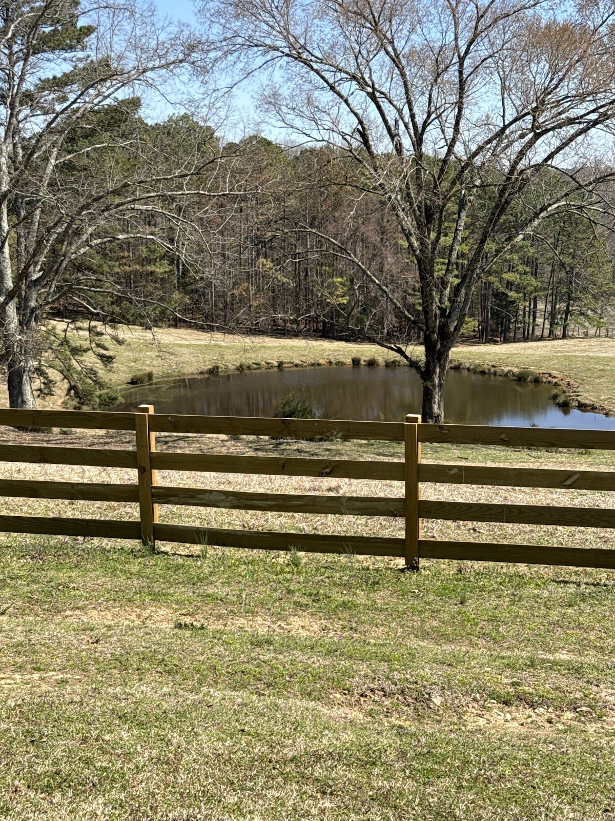 Board fence beside a pond
