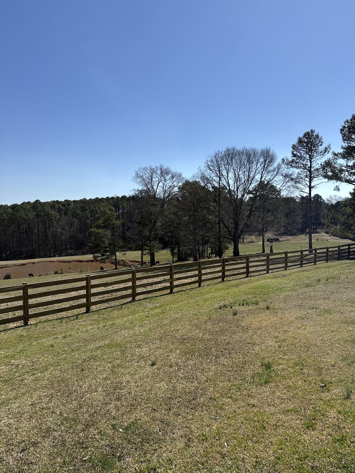 Board fence along a field
