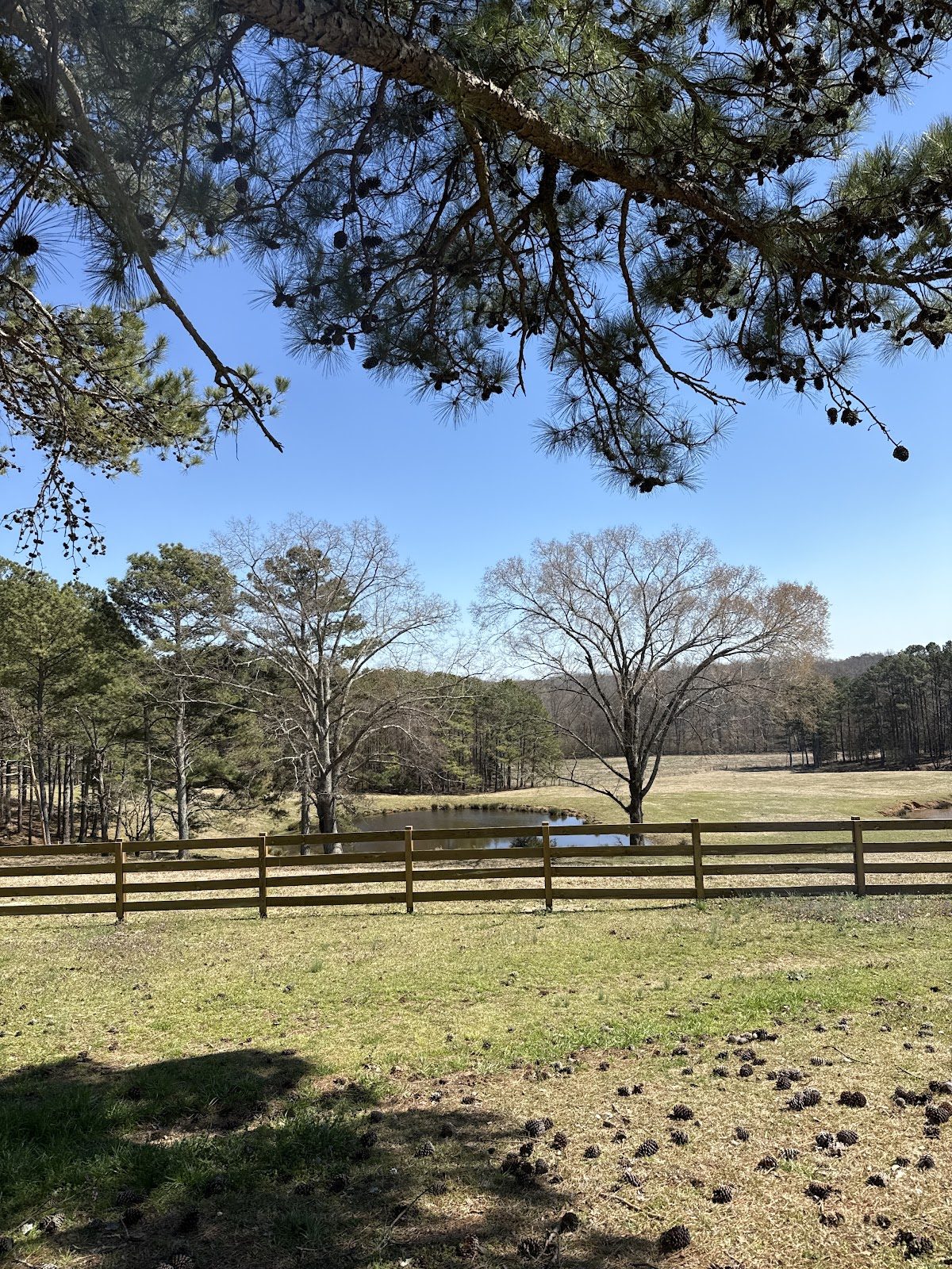 Board fence around a pasture