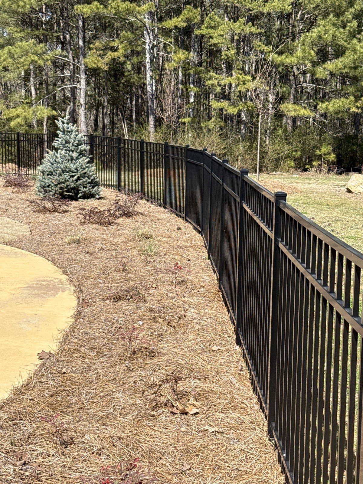 Curved black metal fence line